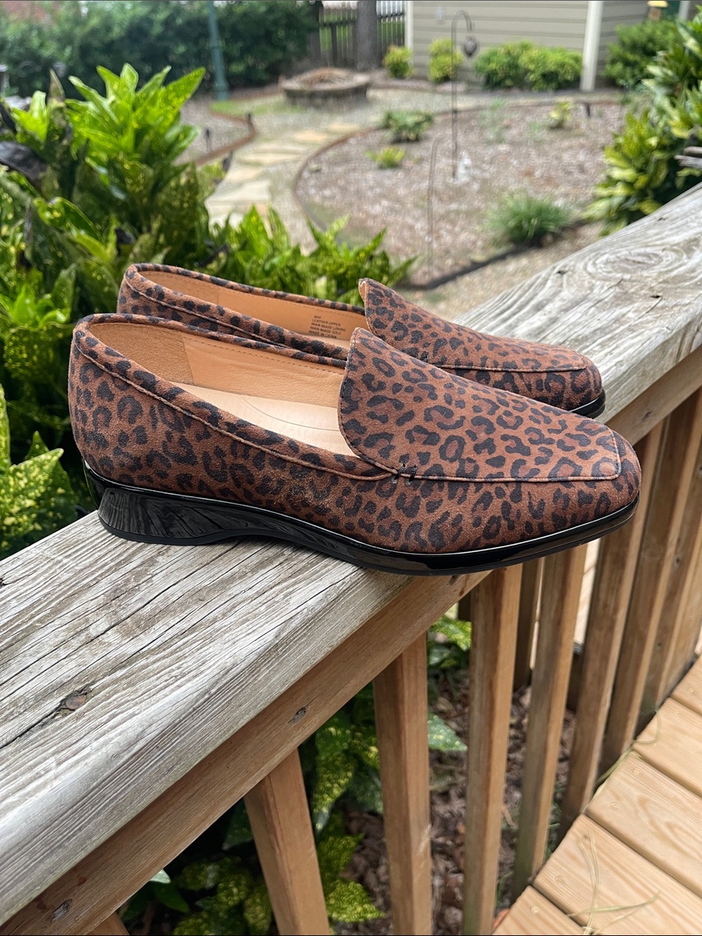 Alex Marie Barson leopard print loafer shoes- Sz 8-new
